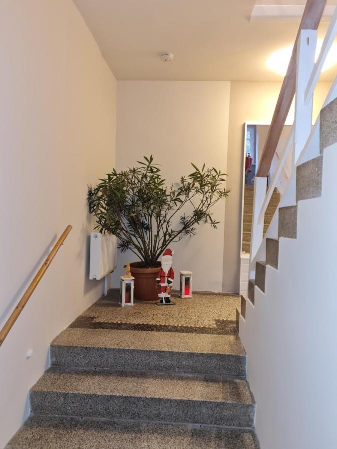Haus Fernblick Daire Kurort Bärenburg Dış mekan fotoğraf