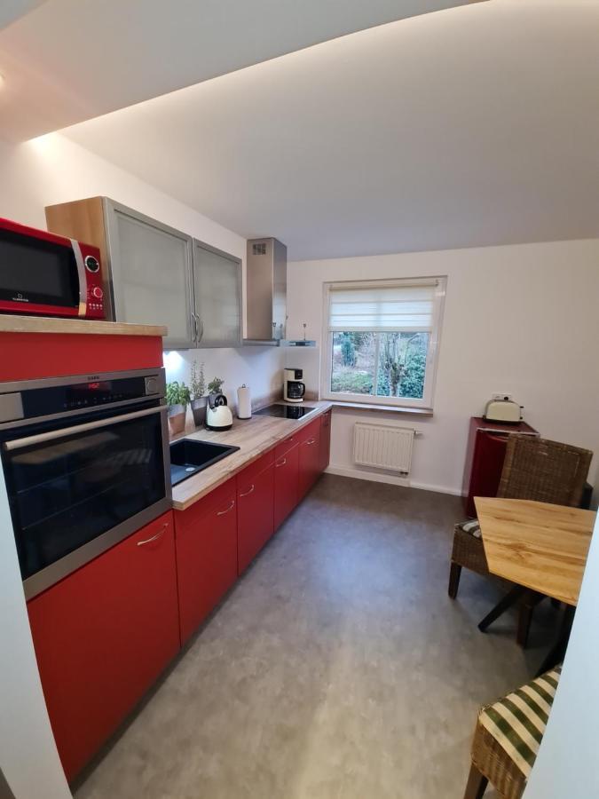 Haus Fernblick Daire Kurort Bärenburg Dış mekan fotoğraf